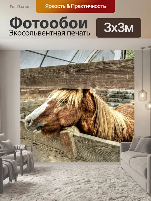 Фотообои Маленький пони