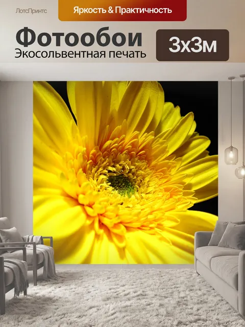 Фотообои Красивая Желтый цветок, ромашка