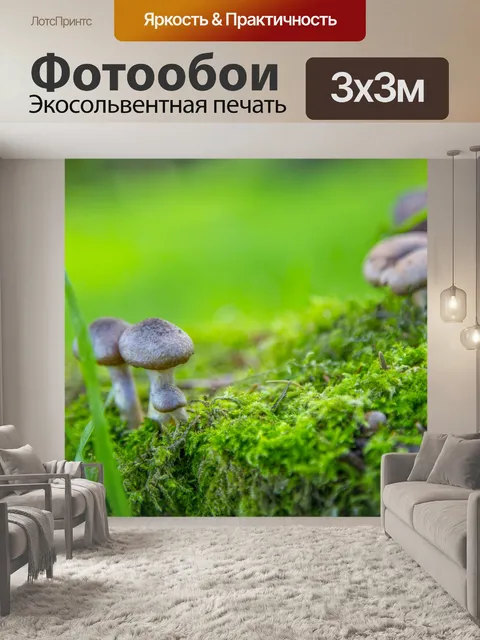 Фотообои Маленькие грибы