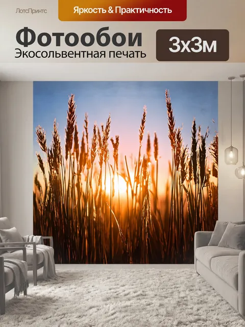 Фотообои утреннее солнце нежно касается верхушек тростника, освещая его золотистыми и розовыми оттенками
