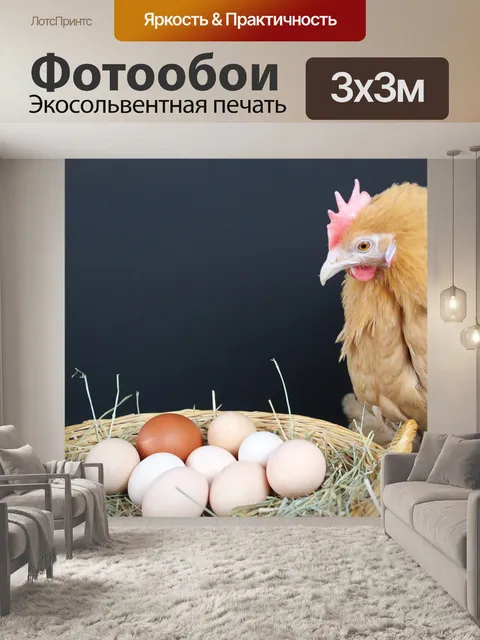 Фотообои Яйца
