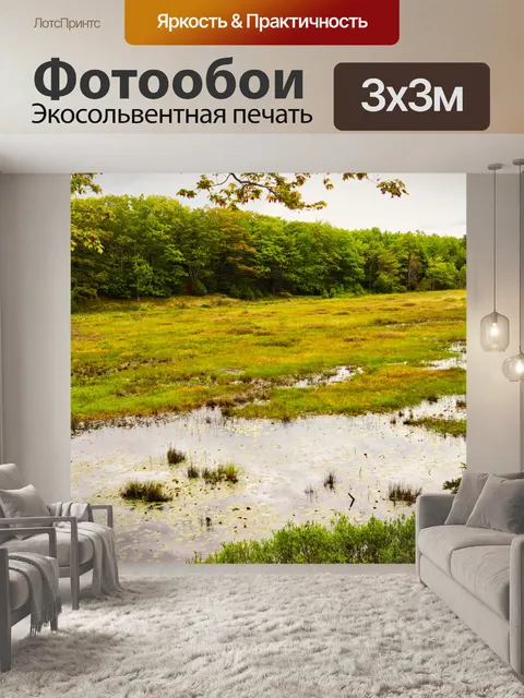 Фотообои Водно-болотные угодья
