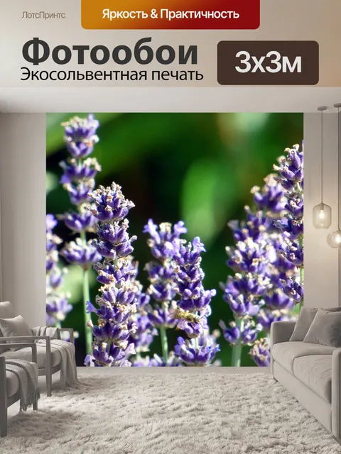 Фотообои Цветы