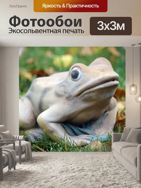 Фотообои Лягушка Сад Украшение
