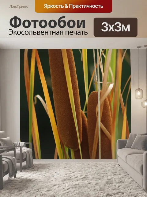 Фотообои Рид
