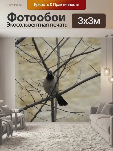 Фотообои Птицы