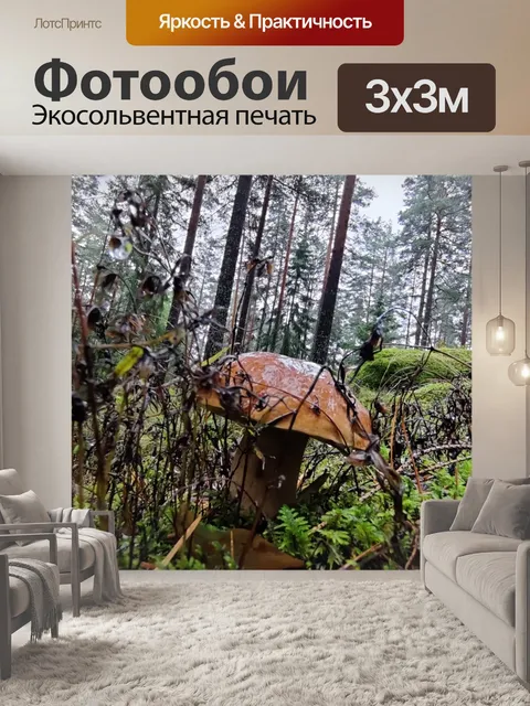 Фотообои Грибы в лесу
