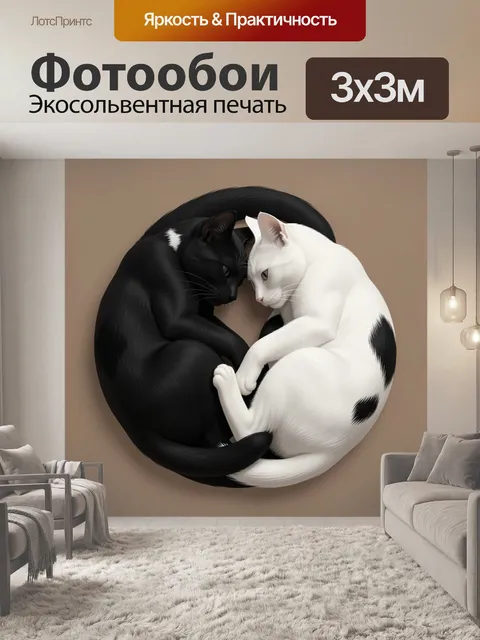Фотообои Черно-белые кошки в объятии