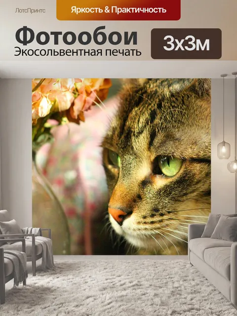 Фотообои Кошка