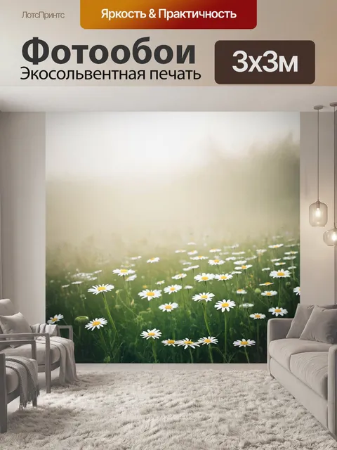 Фотообои утренний туман над полем ромашек, где цветы будто плавают в воздухе