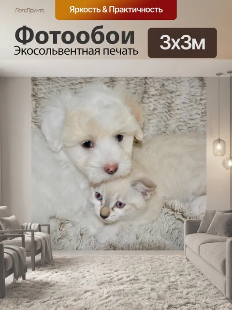 Фотообои Собака кошка