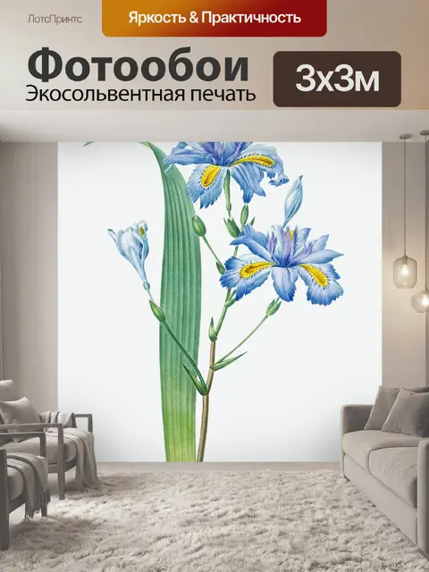 Фотообои Цветок ирис винтаж старый