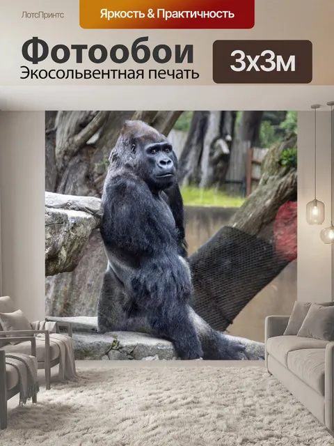 Фотообои горилла