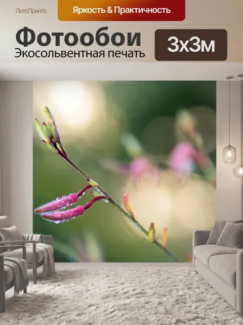 Фотообои Мягкие розовые цветки