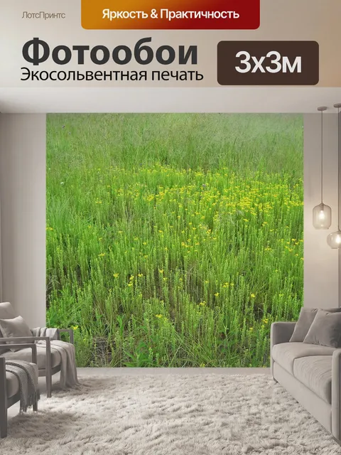 Фотообои Желтые полевые цветы