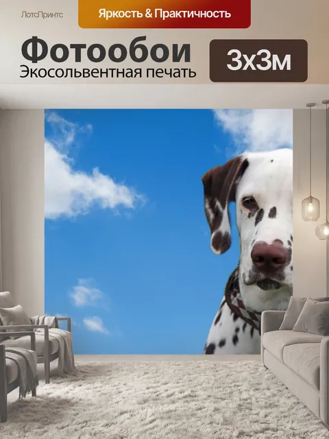 Фотообои Собака, далматин, Blue Sky