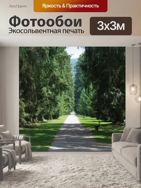 Фотообои Аллея
