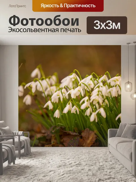 Фотообои Подснежники