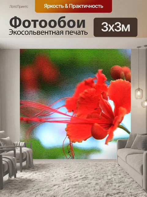 Фотообои красный цветок 10
