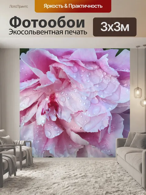 Фотообои Роза