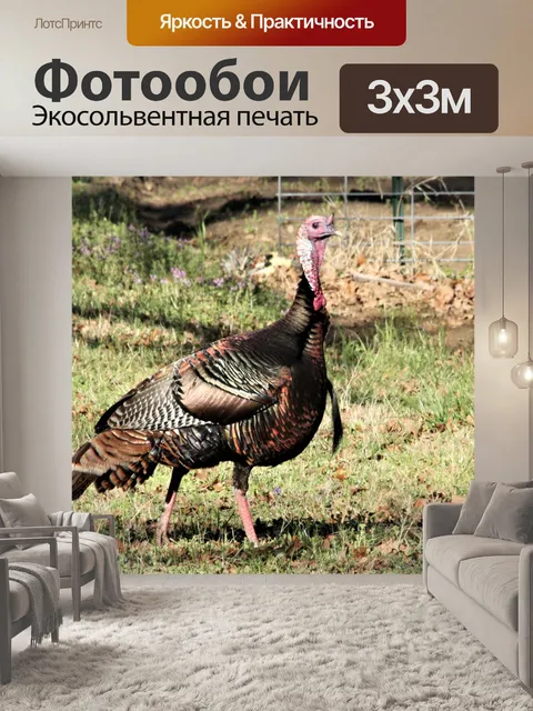 Фотообои Молодой Том Турция весной