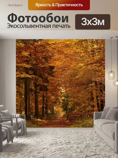 Фотообои Лесная тропа