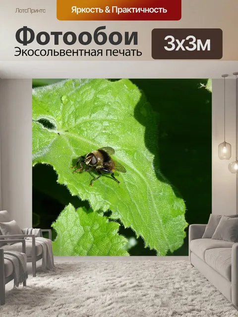 Фотообои Лист