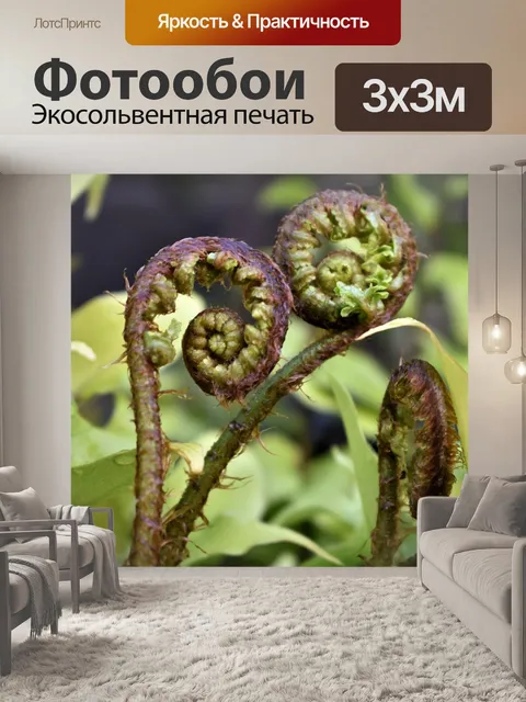Фотообои Папоротник