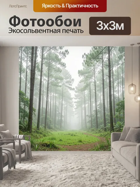 Фотообои Туманный сосновый лес