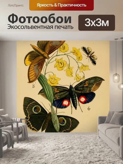 Фотообои Бабочки Винтажное Искусство