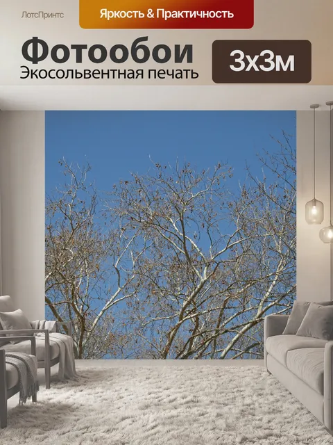 Фотообои Ветви дерева против неба