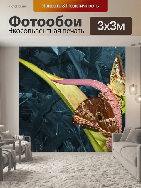 Фотообои Раскрашенная бабочки