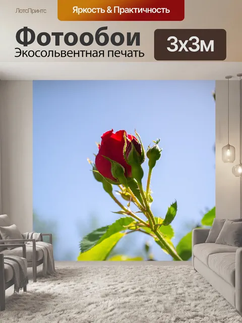 Фотообои Розы
