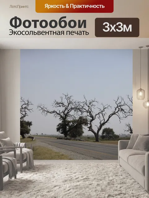 Фотообои сухие ветви деревьев