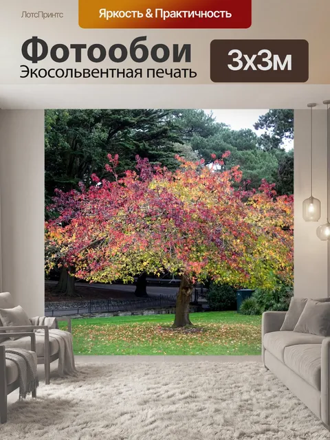 Фотообои Осеннее дерево цветов