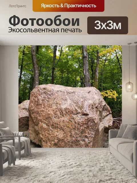 Фотообои Большой камень в лесу