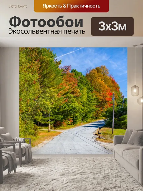 Фотообои Дорожные и осенние деревья
