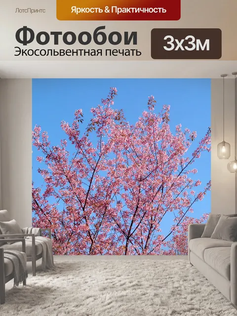 Фотообои Prunus cerasoides, дикая гималайская виш
