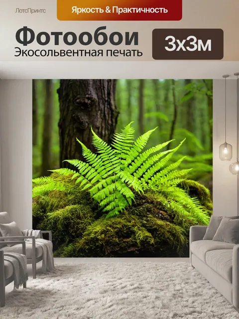 Фотообои папоротник в куске леса
