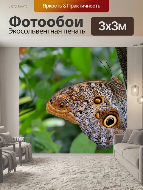 Фотообои Голубая бабочка морфо