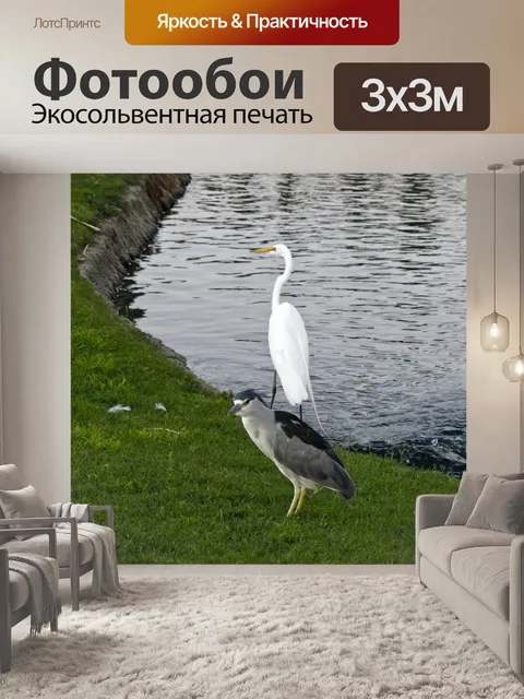 Фотообои Ночь Цапля и большая белая цапля