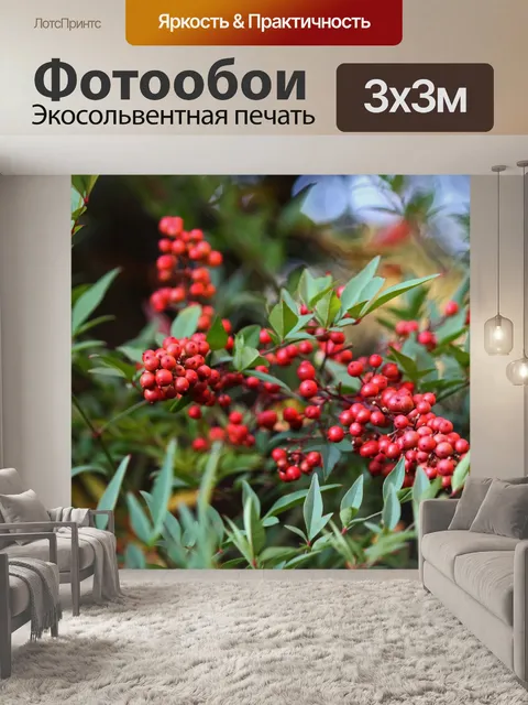 Фотообои красные ягоды священного бамбукового кус