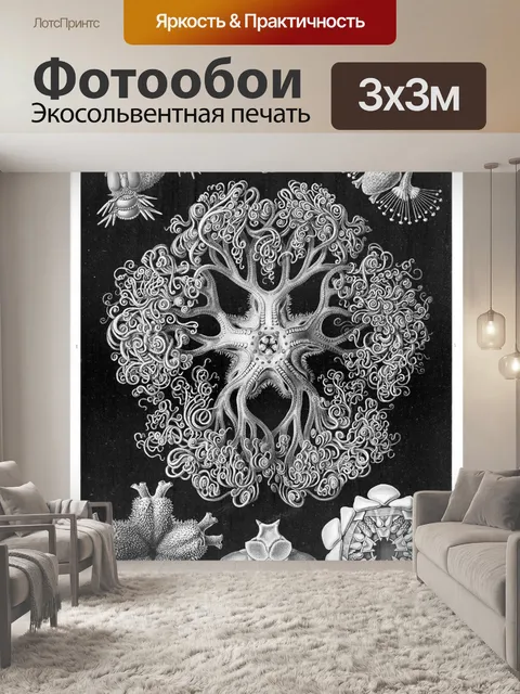 Фотообои Старинный старый Эрнст Геккель