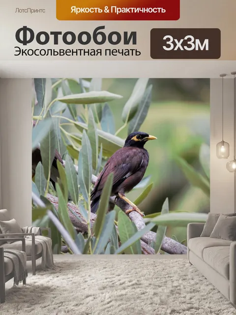 Фотообои Птица