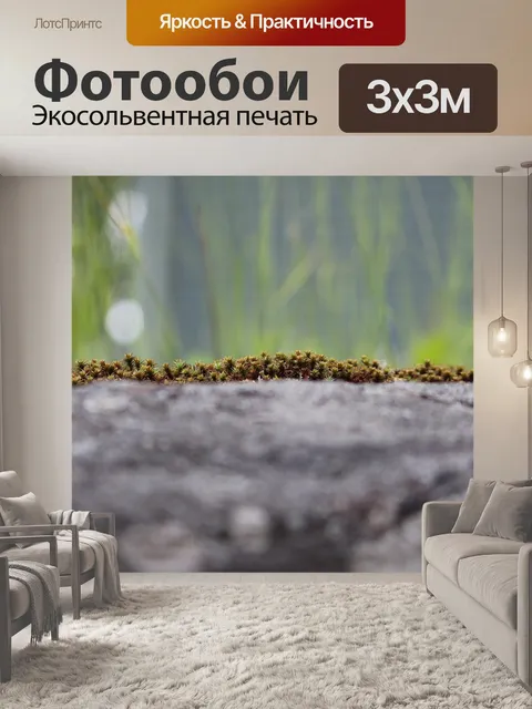 Фотообои Фотографический фон