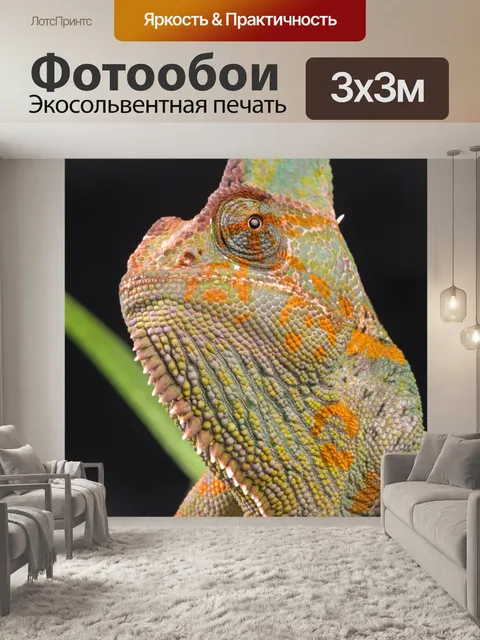 Фотообои Хамелеон
