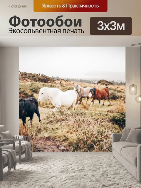 Фотообои Дикие лошади