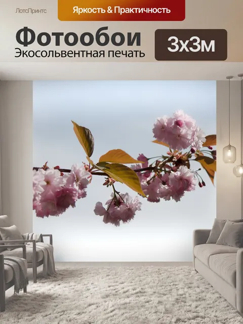 Фотообои Японская сакура