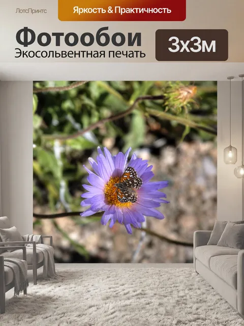 Фотообои Фиолетовый