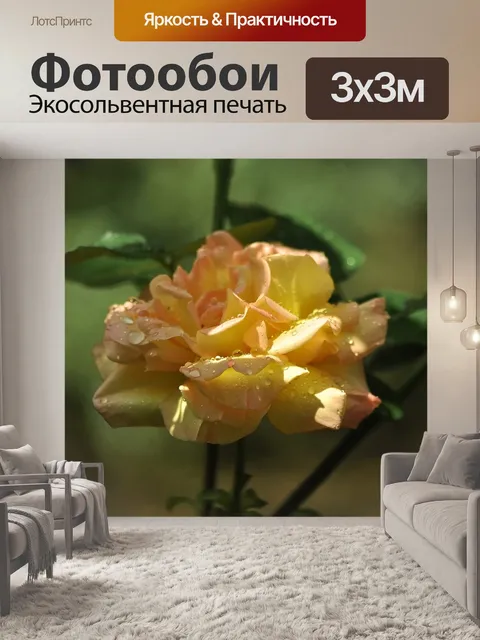 Фотообои Желтая роза
